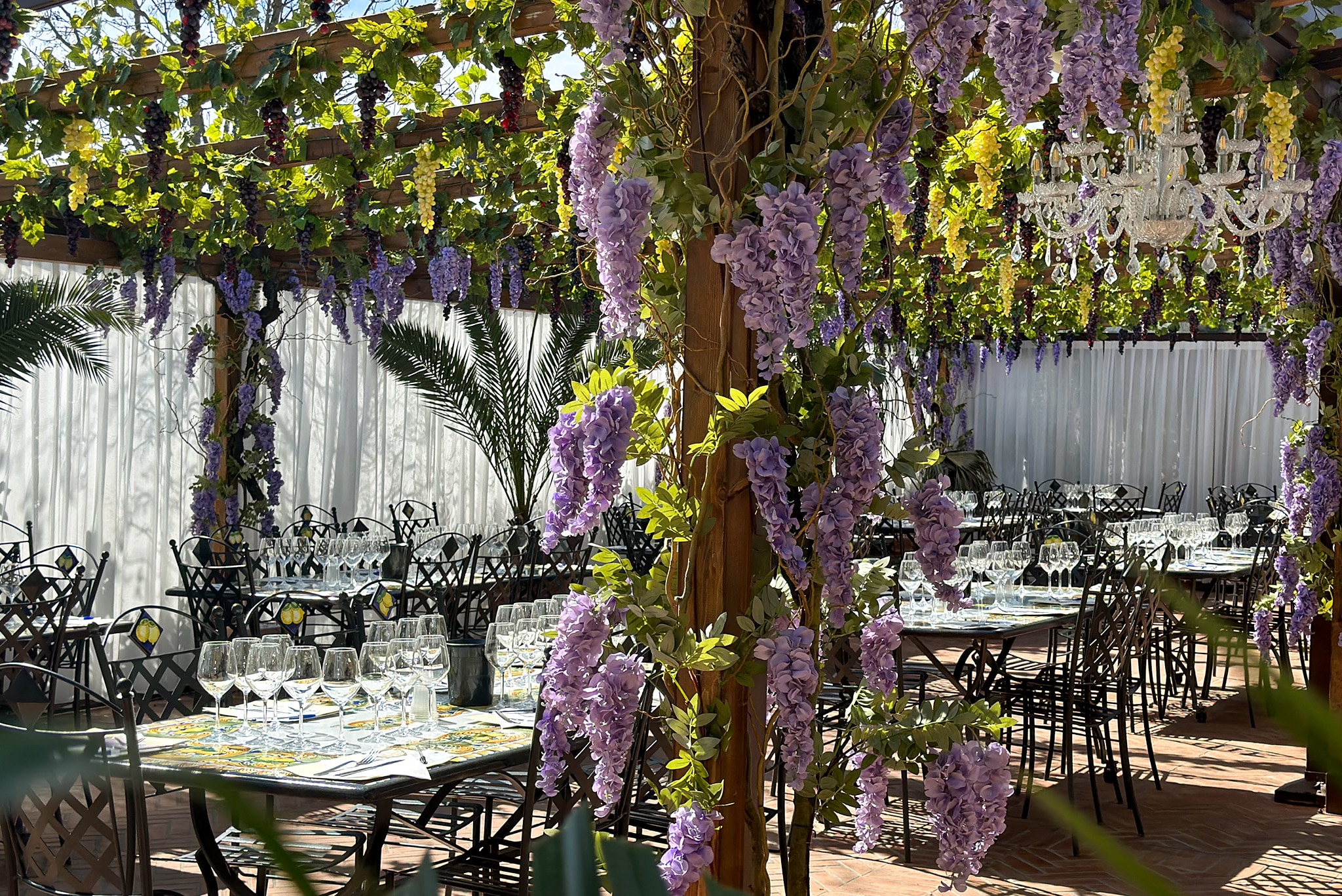 Lunch and Wine Tasting in Our Garden Veranda — 1/3