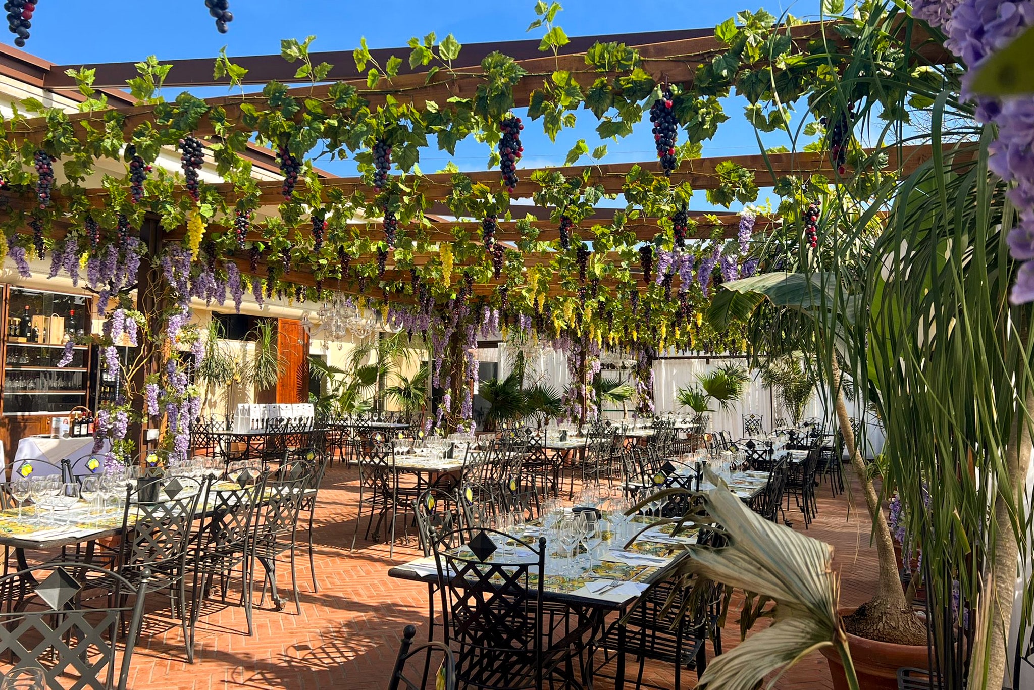 Lunch and Wine Tasting in Our Garden Veranda — 2/3