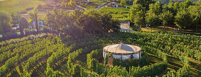 cantina-tenuta-torciano-san-gimignano