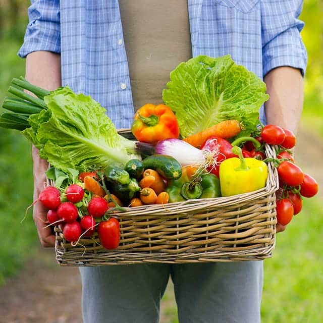 garden_basket
