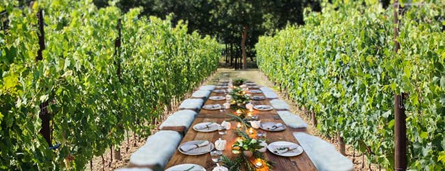 pranzo-nel-vigneto-toscana