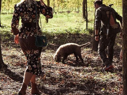 TRUFFLE_HUNT