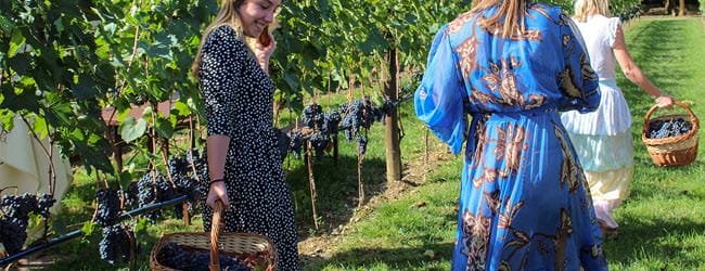 vendemmia_2