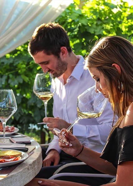 degustazione-tenuta-torciano
