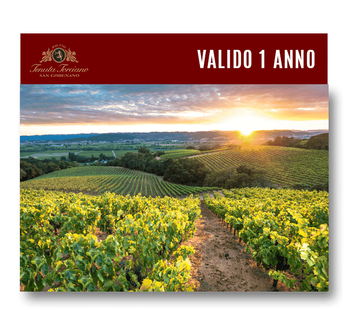 toscana-visita-vigneti