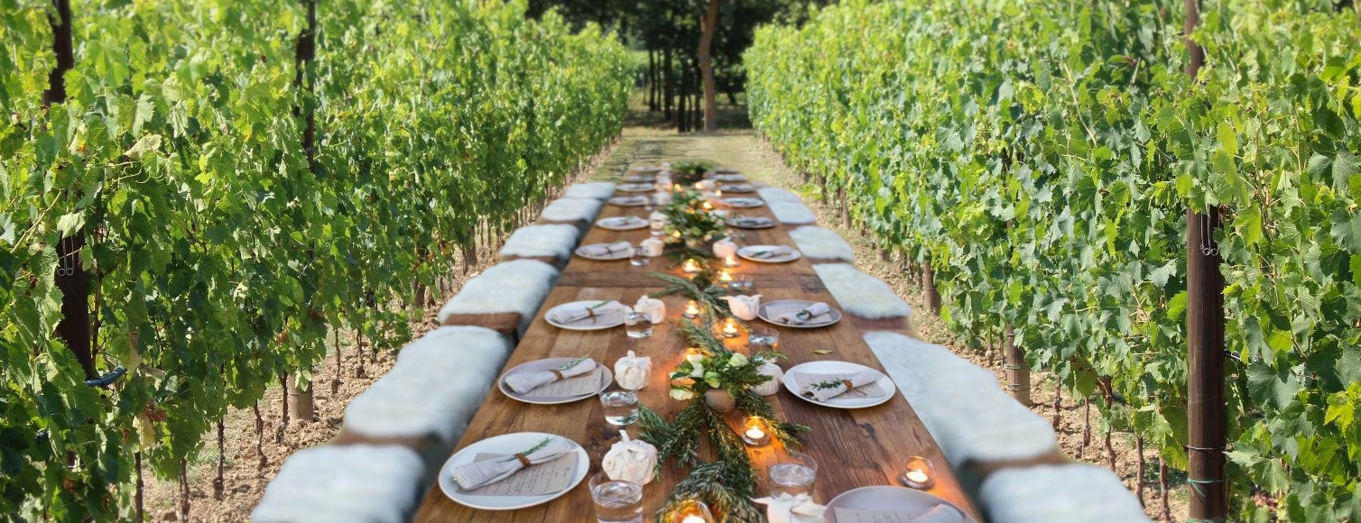 cena-filari-vigneto-torciano
